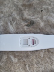 Cheapie recommendation? Constant evap!