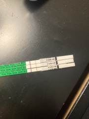 5 weeks pregnant - are the lines too faint?