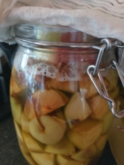 Any Witches Here?- Part 19