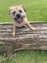 Cancer Support Thread 89 - the best thread that no one wants to be on.