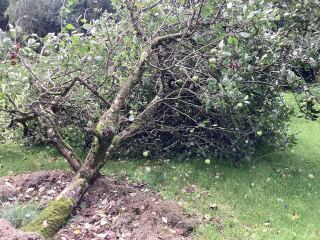 Thread 9 - TalkLair: “Russell's teapot goes on being round”