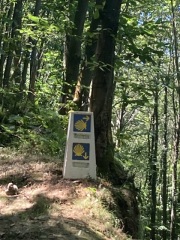 The Saxenda Sisterhood 