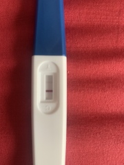 HELP just taken this test