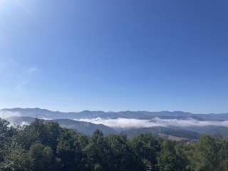 The Saxenda Sisterhood 