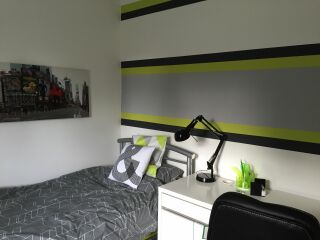 How do I style this awful green colour DS has picked for his room?