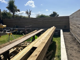 What to put in my planters?