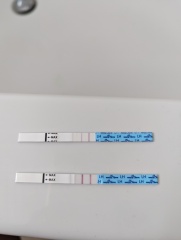 OPK Progression pics