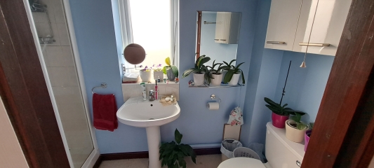 Bathroom - partially covering a window void for a shower - pictures?