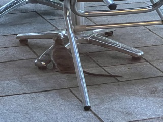 Better Than Center Parcs?