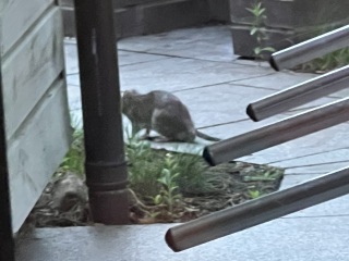 Better Than Center Parcs?