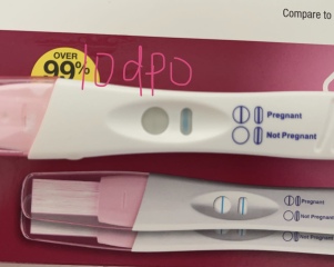 11dpo