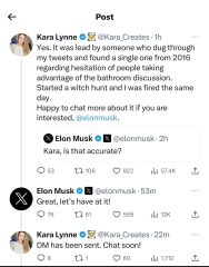 Could Elon Musk help feminists?