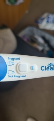 1DPO... Any tww buddies? 