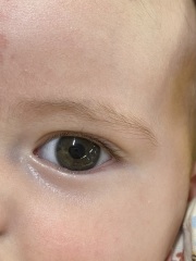 What colour are my baby's eyes?