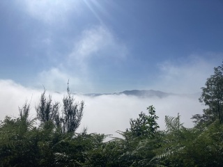 The Saxenda Sisterhood 