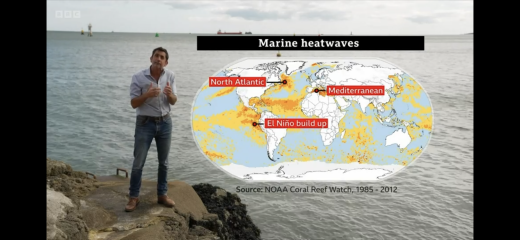 Very sobering - ocean temperature record 20.96c