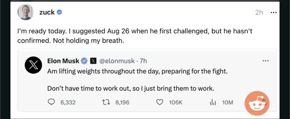 Musk v Zuckerberg cage fight?