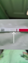 1DPO... Any tww buddies? 