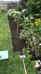 What have you done in the garden today? Part 3