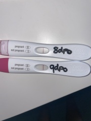 1DPO... Any tww buddies? 