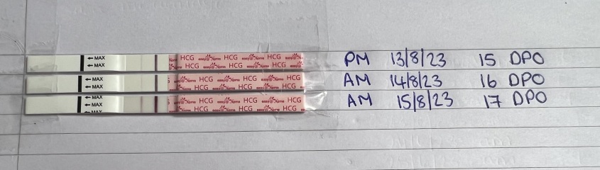Faint line 17 DPO