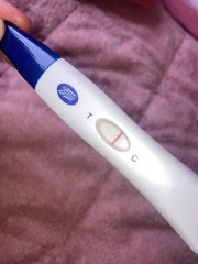 12dpo , af due in 2 days , wheres everyone at ? 