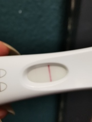 1DPO... Any tww buddies? 