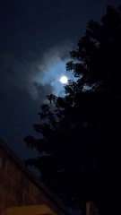 The Moon tonight