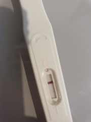 Line eyes please!?