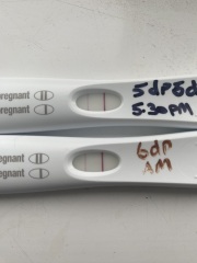 BFP 19/08/23 - anyone else?