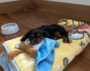 50 Books Challenge 2023 Part Seven 