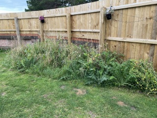 Best way to clear this... pic included