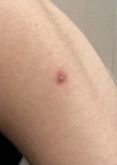 Anyone know what this is?