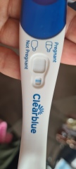 1DPO... Any tww buddies? 