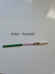 Faint line / floode strip test?