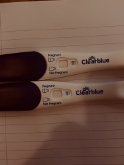 pregnancy test