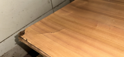 AIBU to expect landlord to replace kitchen?