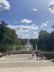 The Saxenda Sisterhood 