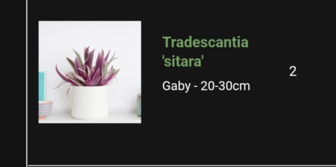 I havent a clue about indoor plants!
