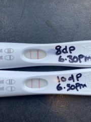 Too scared to get excited