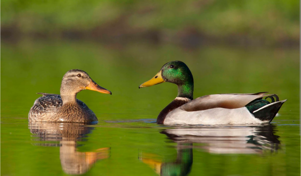 There has been quite a lot of in the past year how women are now choosing to stay single and they rather be alone. Are you actually seeing this in real life?