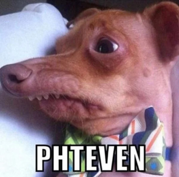 I'm in bed with COVID and utterly miserable. Can I see pics of your pets/favourite memes or favourite jokes?