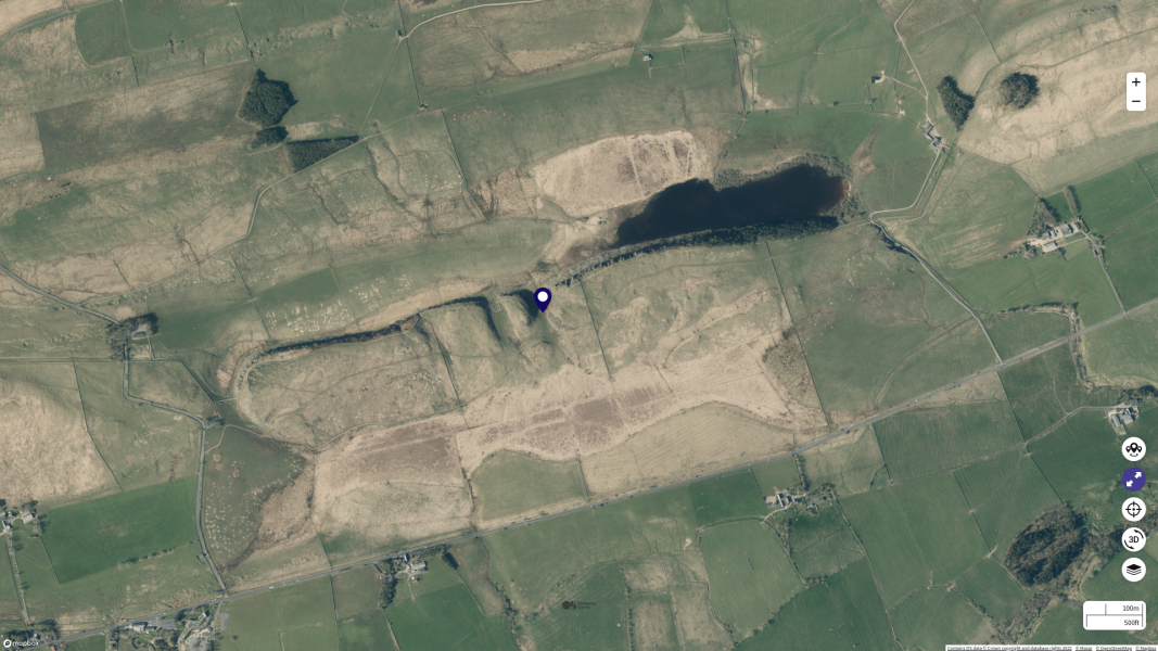 The sycamore chopped down at Hadrian's wall
