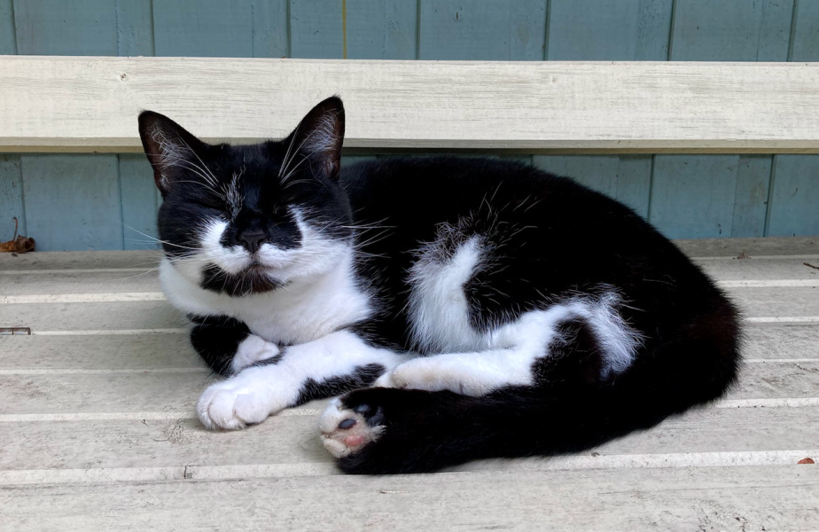 Thread 9 - TalkLair: “Russell's teapot goes on being round”