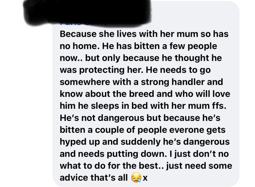 To think this just sums up XL Bully owners?