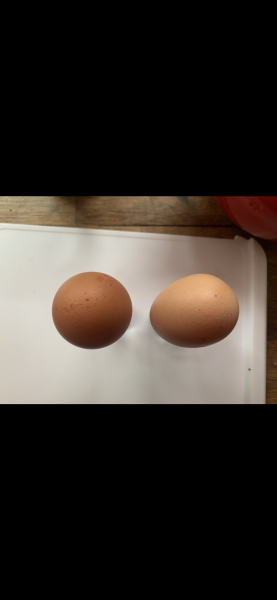 Double Yolkers