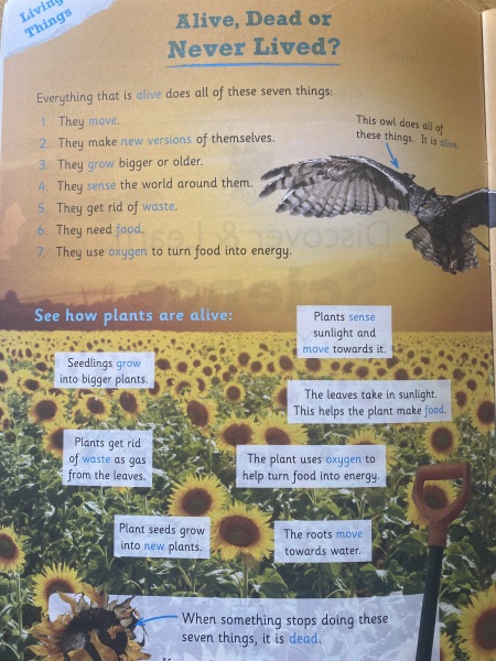 Alive, dead or never alive ks1 science