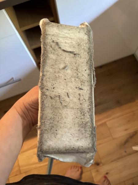 Cleaning apps the pants?