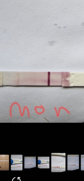 10dpo test line