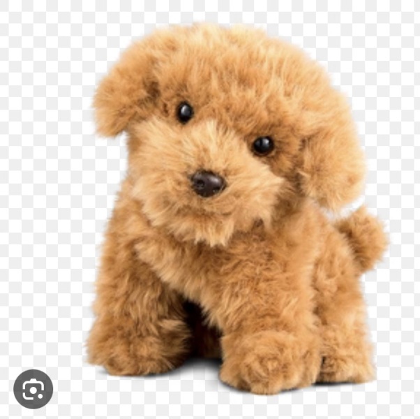 Teddy hear toy- helmet please